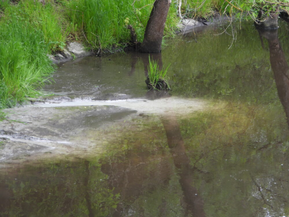Zdjęcie nr 1 - w tle płynąca rzeka do której z lewego brzegu porośniętego trawą wpływa biała substancja