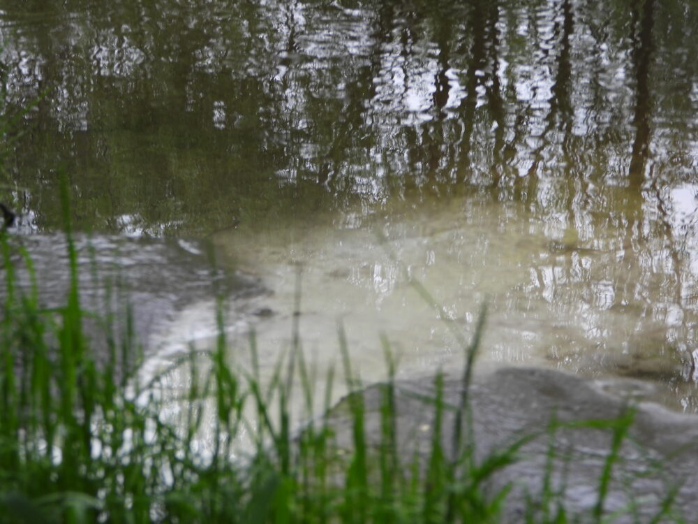 Zdjęcie nr 2 - zdjęcie przedstawia taflę wody do której wpływa biała substancja